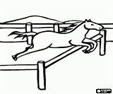 Paarden Saltando Cavalo Pferd Malvorlagen Cavallo Pintar Springen Springt Pferde Cavalli Colorare Valla Caballo Hek Zaun Recinzione Salta Ausmalbilder sketch template