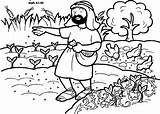 Parable Parables Sower Zaaier sketch template