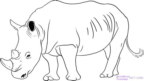 rhinoceros coloring pages  getdrawings
