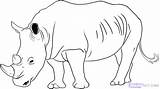 Rhino Coloring Rhinoceros Pages Outline Drawing Line Drawings Woolly Getdrawings Animal Getcolorings Printable Color Google Colorings sketch template