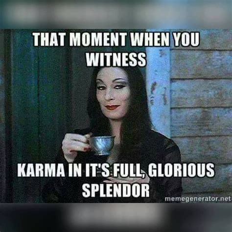 funny quotes not my circus karma memes