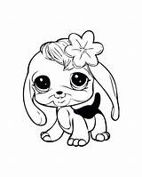 Coloring Pages Pet Puppy Baby Dog Lps Littlest Shop Cute Fluffy Chihuahua Printable Puppies Bunny Dogs Cat Little Print Kids sketch template