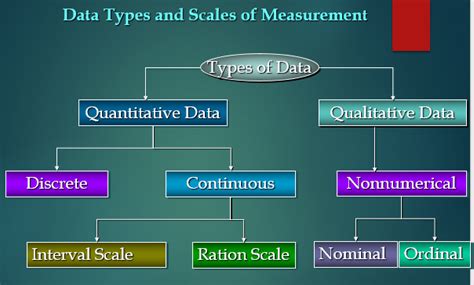 data types  statistics definition types  characteristics
