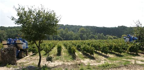 la vigne et le vin publié à la documentation française paris bistro