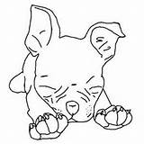 Terrier Terriers Dogs sketch template