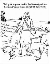 Sowing Sower Bible Parable Sunday sketch template