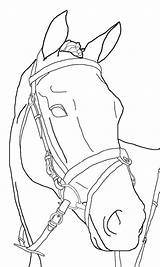Paard Kleurplaat Pferde Ruiter Pferd Dressuur Malvorlagen Kleurplaten Lineart Wandtattoo Zeichnung Springend Tiere Malen Downloaden Pony Equina Tekenen Kopf Süße sketch template