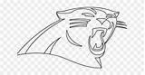 Panthers Carolina Panther sketch template