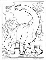 Coloring Dinosaur Pages Kids Animal Dinos sketch template