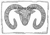 Animal Sheep Bighorn sketch template