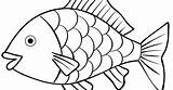 Ikan Kolase Binatang sketch template