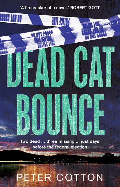 Dead Cat Bounce Book Scribe Publications