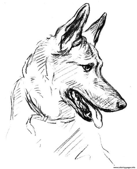 german shepherd dog coloring page printable