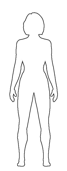 outline human body diagram female    body outline  vectors