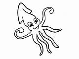 Squid Calamar Giant Getdrawings Designlooter sketch template