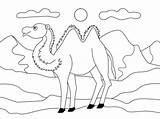 Cammello Camel sketch template