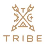 tribe interactive