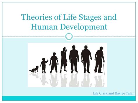 stages of human life human life cycle stages of human life cycle