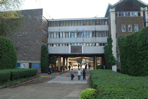choosing   college  university  kenya hubpages