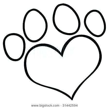 cougar paw print coloring pages tensei colors