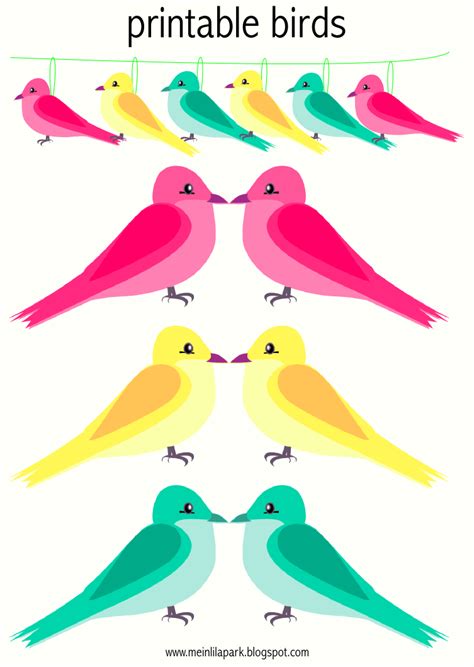 printable bright colored birds  digital borders vogel