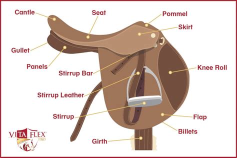 vita flex pro  guide  english saddle parts fit