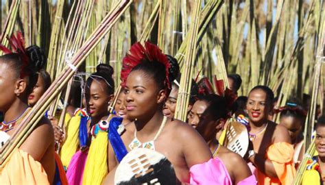 annual reed dance ceremony inkatha freedom party