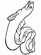 Eel Coloring Pages Letter Craft Preschool Animal Clipart Kids Cartoon Cliparts Moray Crafts Eels Whale Colouring Drawing Ocean Color Worksheets sketch template