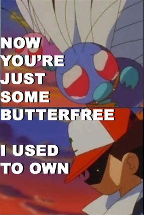 some butterfree i used to own somebody that i used to know know your meme