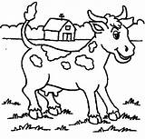 Vache Vaca Vitel Colorat Desene Fisa Vacuta Plansa Enfant Ligne Vaches Coloriages Chezcolombes sketch template