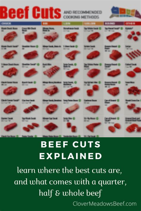 cuts  beef  cuts      quarter   beef