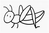 Saltamontes Sauterelle Coloriages Coloriage sketch template