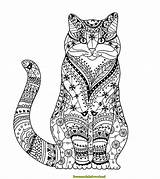 Katzen Malvorlage Malvorlagen sketch template