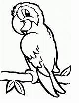 Parrot Loros Animales Voladores Perroquet Anipedia Parrots Vogel Kleurplaten Vogelweetjes Clipartmag Kleurplaat Coloringbay Animaux Colornimbus sketch template