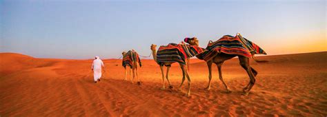 complete dubai desert safari guide  tips reviews