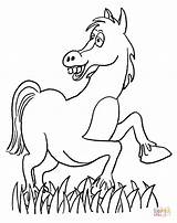 Tegninger Hest Heste Pferd Lustiges Sjove Tegnet Ausmalbild Supercoloring Ausdrucken sketch template
