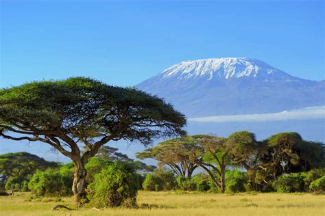 find  airports  kilimanjaro jro cheapticketssg