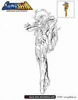 Seiya Saint Coloring Pages Colorear Template sketch template