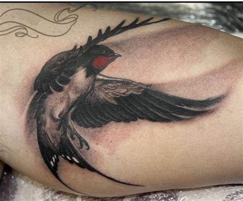 Pin By Mohsen Arab On Parasto Realistic Bird Tattoo Swallow Tattoo