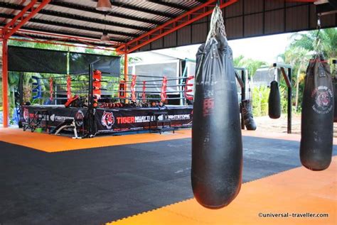 one week training at tiger muay thai camp phuket thailand