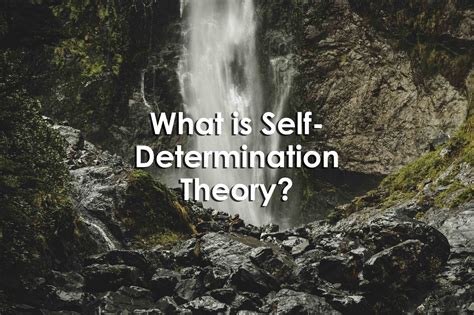 determination theory university xp
