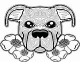 Coloring Pages Dog Pitbull Mandala Adults Adult Puppy Colouring Printable Color Sugar Skull Pit Bull Sheets Para Cute Books Coloriage sketch template