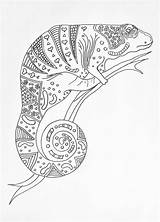 Coloring Chameleon Book Pages Adult Charming Mandala Fancy sketch template