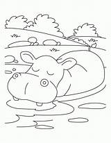 Hippo Coloring Pages Hippopotamus Kids Relaxing Printable Clipart Mood Print Getcolorings Baby Color Popular Getdrawings Library Coloringhome Sketch sketch template