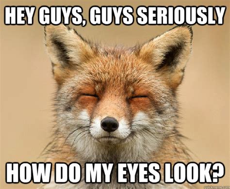 fox memes quickmeme