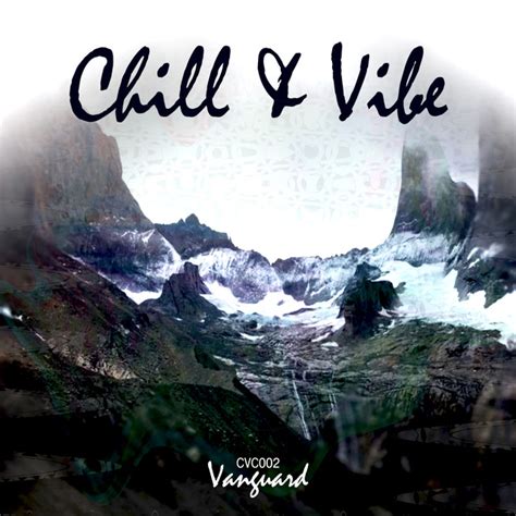 chill and vibe records on spotify