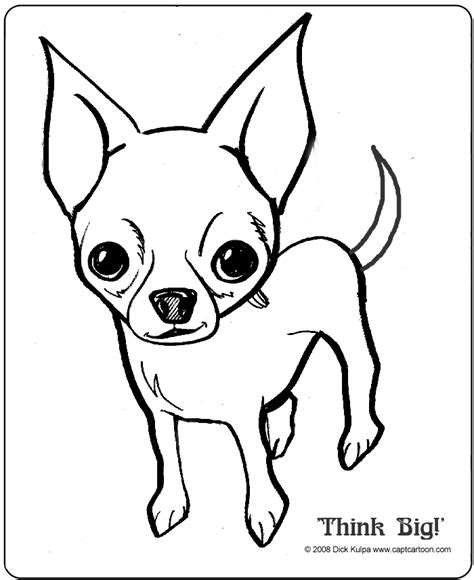 chihuahua colouring page coloring home