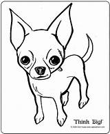 Coloring Pages Chihuahua Jack Dog Colouring Chihuahuas Kids Printable Para Russell Chiwawa Drawing Cartoon Dibujos Cartoons Imprimir Pet Pit Perros sketch template