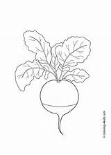 Radis Radish Vegetable Legumes 4kids Groente Kleurplaten sketch template