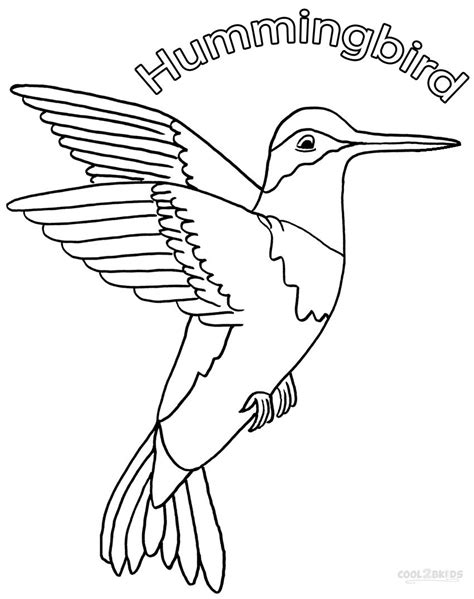printable hummingbird coloring pages  kids coolbkids
